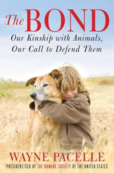 Gambar - The Bond: An Excerpt with Fifty Ways to Help Animals