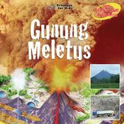 (SERI BENCANA ALAM DI INDONESIA) GUNUNG MELETUS Single Edition