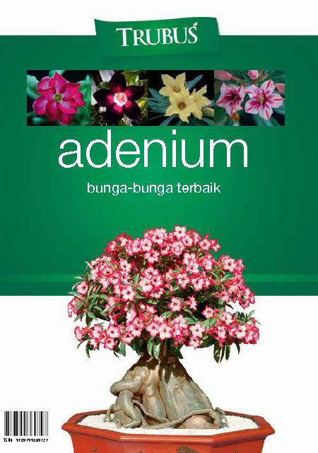 Adenium Bunga-Bunga Terbaik