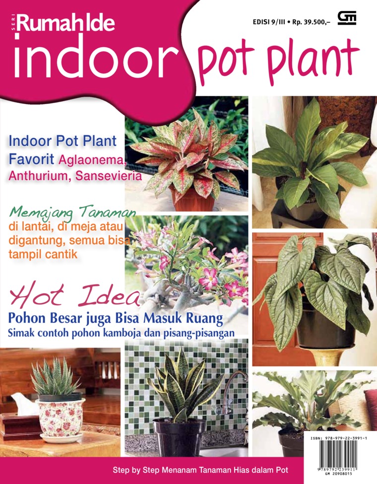 Seri Rumah Ide - Indoor Pot Plant