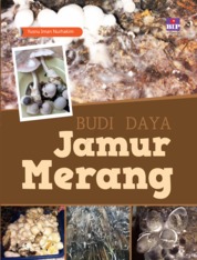 Budi Daya Jamur Merang Single Edition