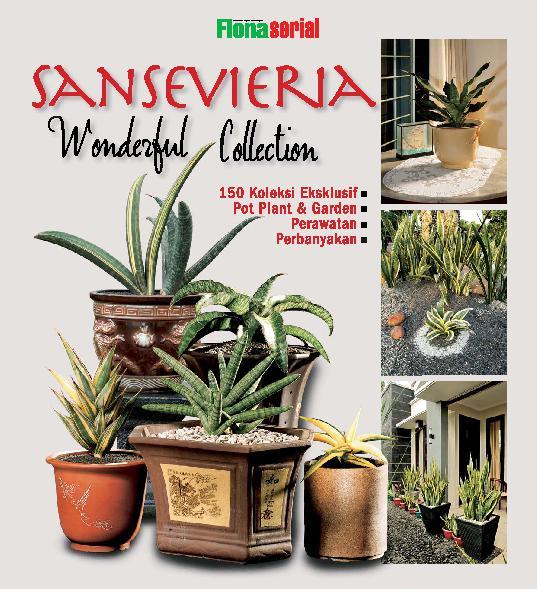 Sansevieria Wonderful Collection Oleh Tim Flona