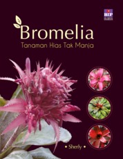 Bromelia - Tanaman Hias Tak Manja Single Edition