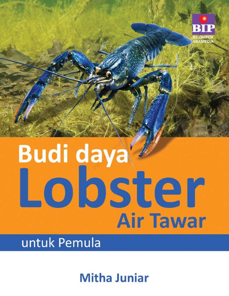 Lobster air tawar