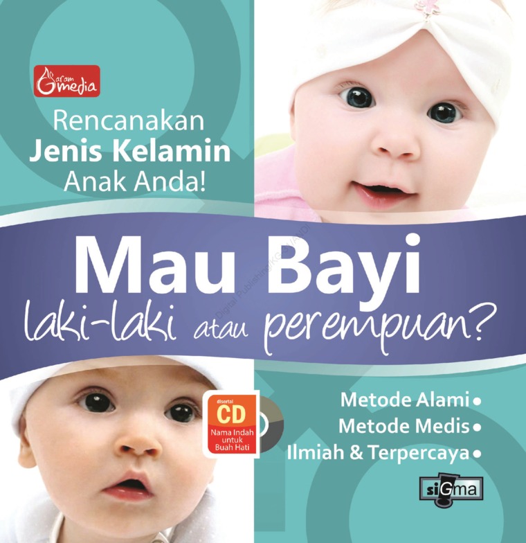 Jual Buku Mau Bayi Laki Laki Atau Perempuan Rencanakan Jenis Kelamin Anak Anda Cd Oleh Ara Rossi Garam Media Gramedia Digital Indonesia