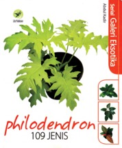 Serial Galeri Eksotika Philodendron 109 Jenis