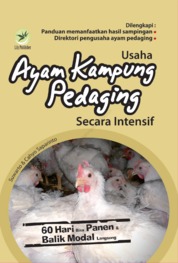 Usaha Ayam Kampung Pedaging