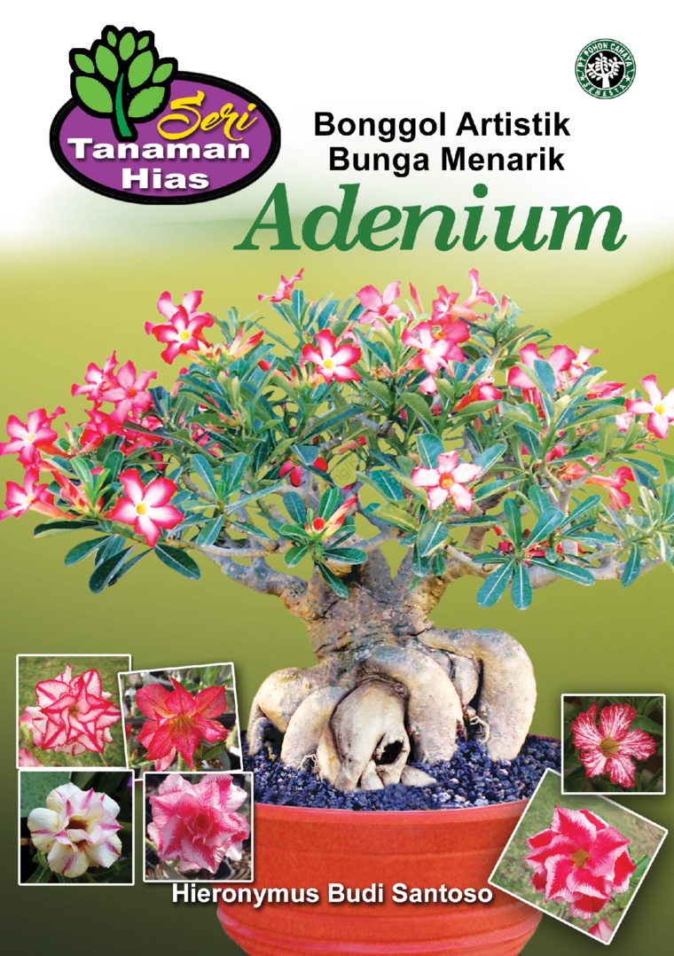 Seri Tanaman Hias: Adenium (Bonggol Artistik Bunga Menarik)
