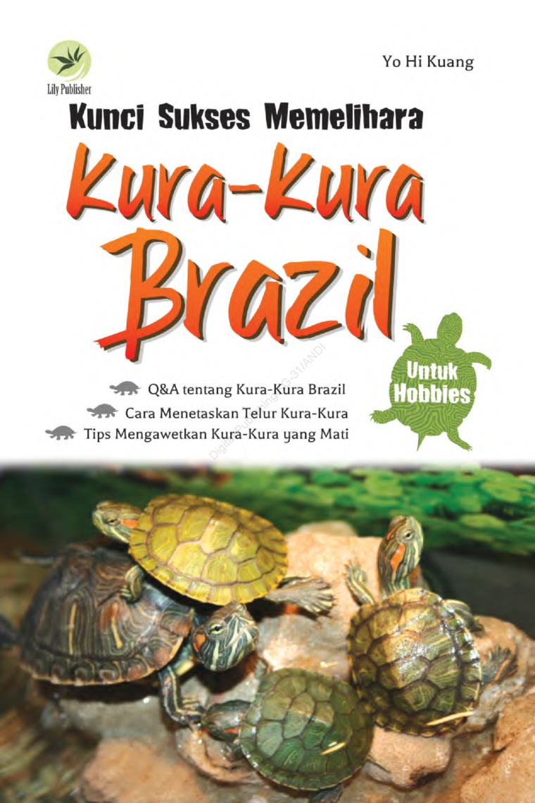 Kunci Sukses Memelihara Kura-Kura Brazil – untuk Hobbies